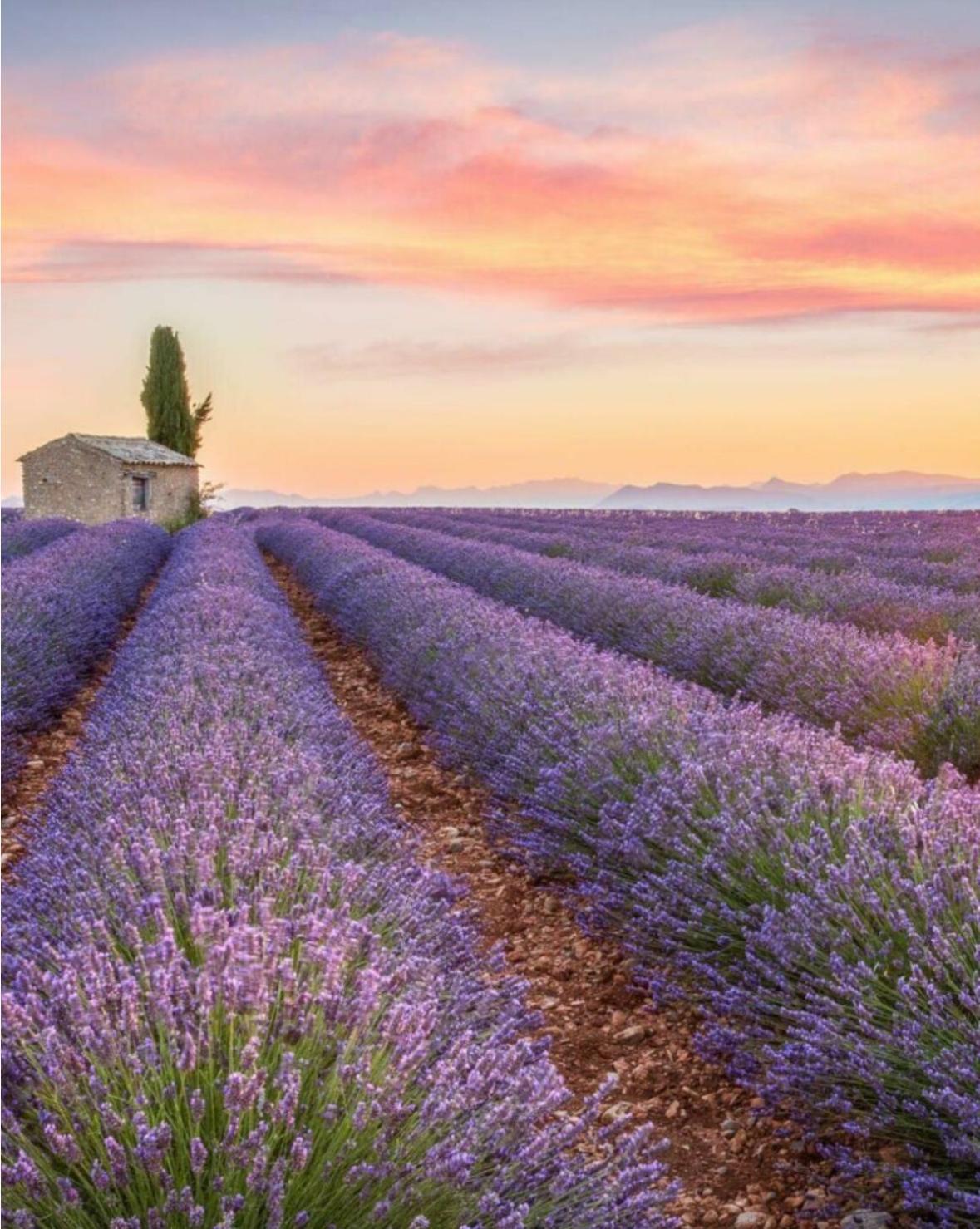 Fuvolea: Provençal Retreat with Heated Pool near Aix-en-Provence Villa Fuveau Exterior photo